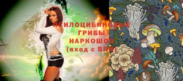 твердый Лагань