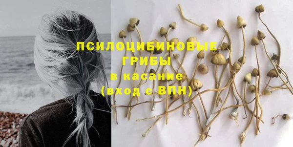 mdma Кукмор